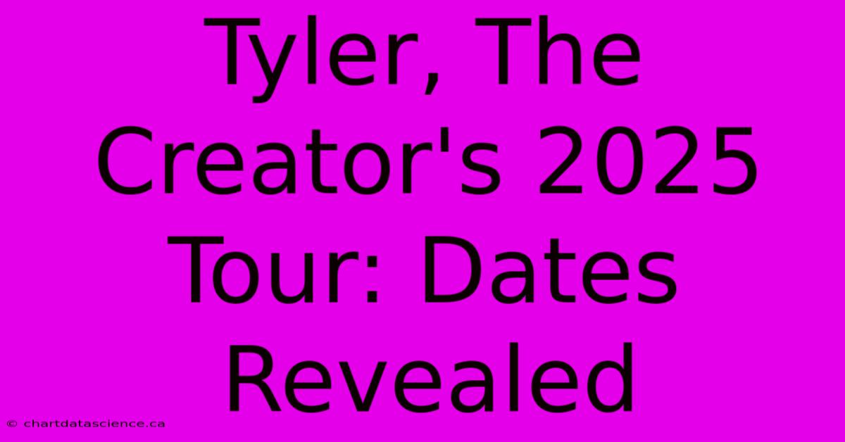 Tyler, The Creator's 2025 Tour: Dates Revealed