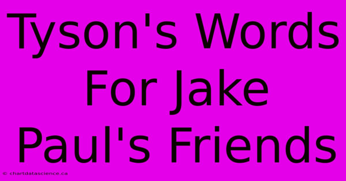 Tyson's Words For Jake Paul's Friends