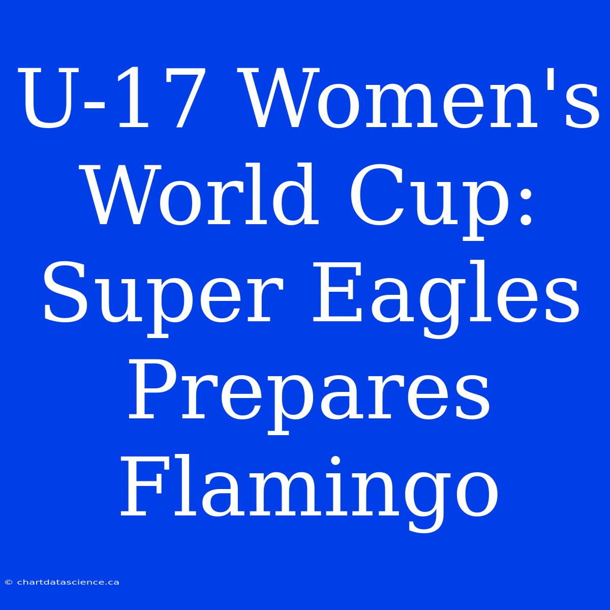 U-17 Women's World Cup: Super Eagles Prepares Flamingo