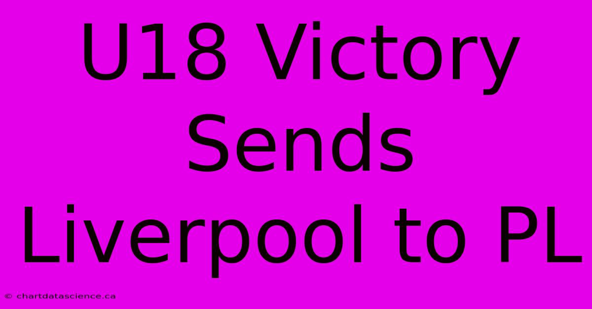 U18 Victory Sends Liverpool To PL