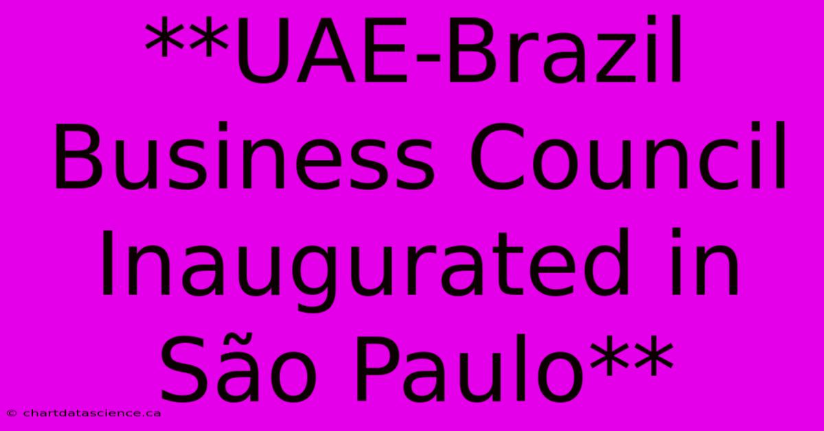 **UAE-Brazil Business Council Inaugurated In São Paulo** 