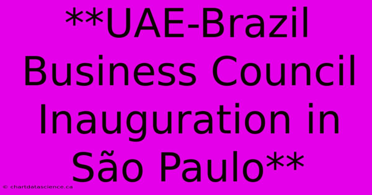 **UAE-Brazil Business Council Inauguration In São Paulo** 