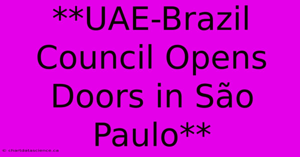 **UAE-Brazil Council Opens Doors In São Paulo**