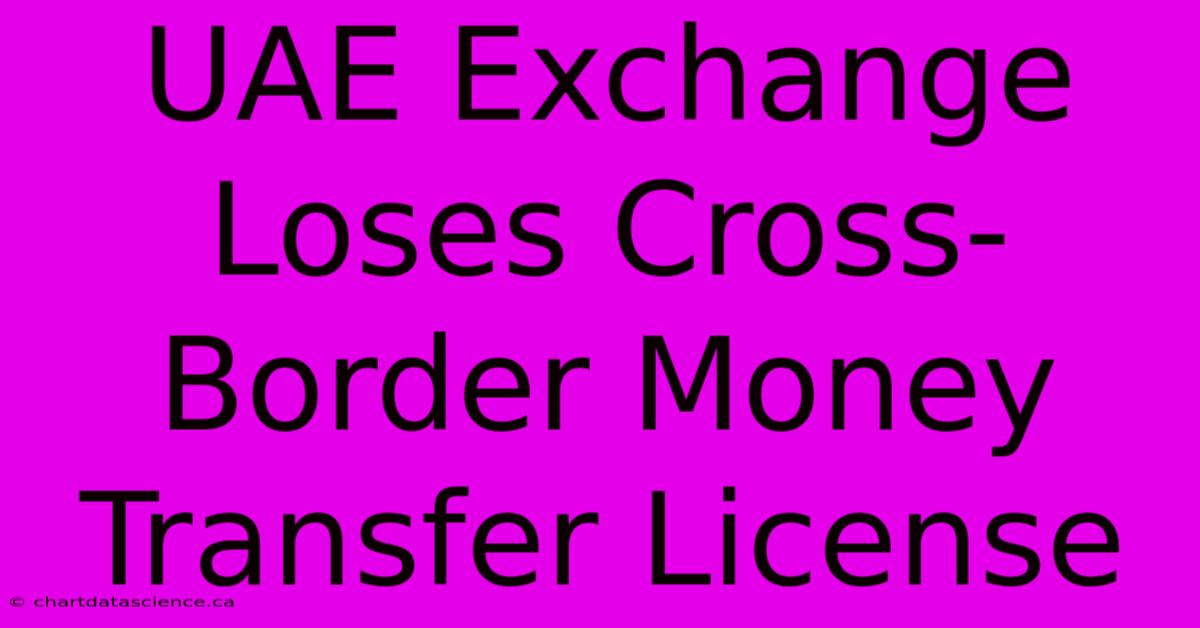 UAE Exchange Loses Cross-Border Money Transfer License