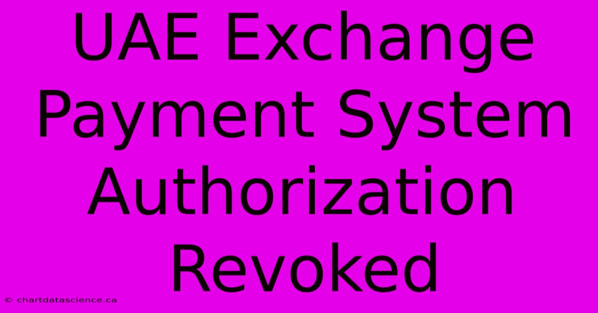 UAE Exchange Payment System Authorization Revoked