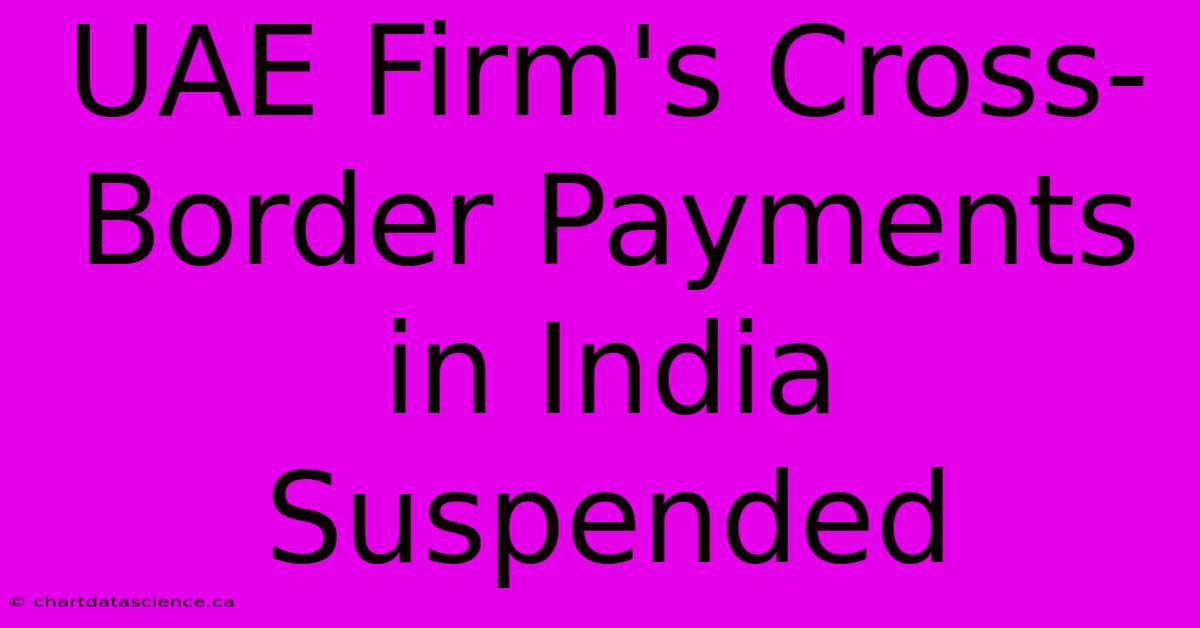 UAE Firm's Cross-Border Payments In India Suspended 