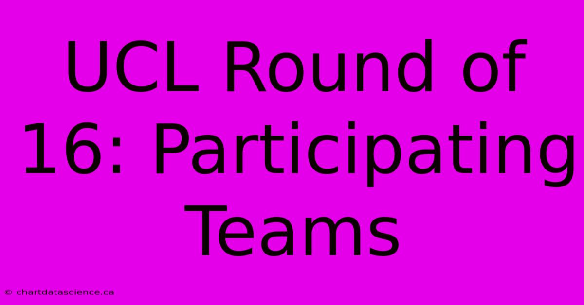 UCL Round Of 16: Participating Teams