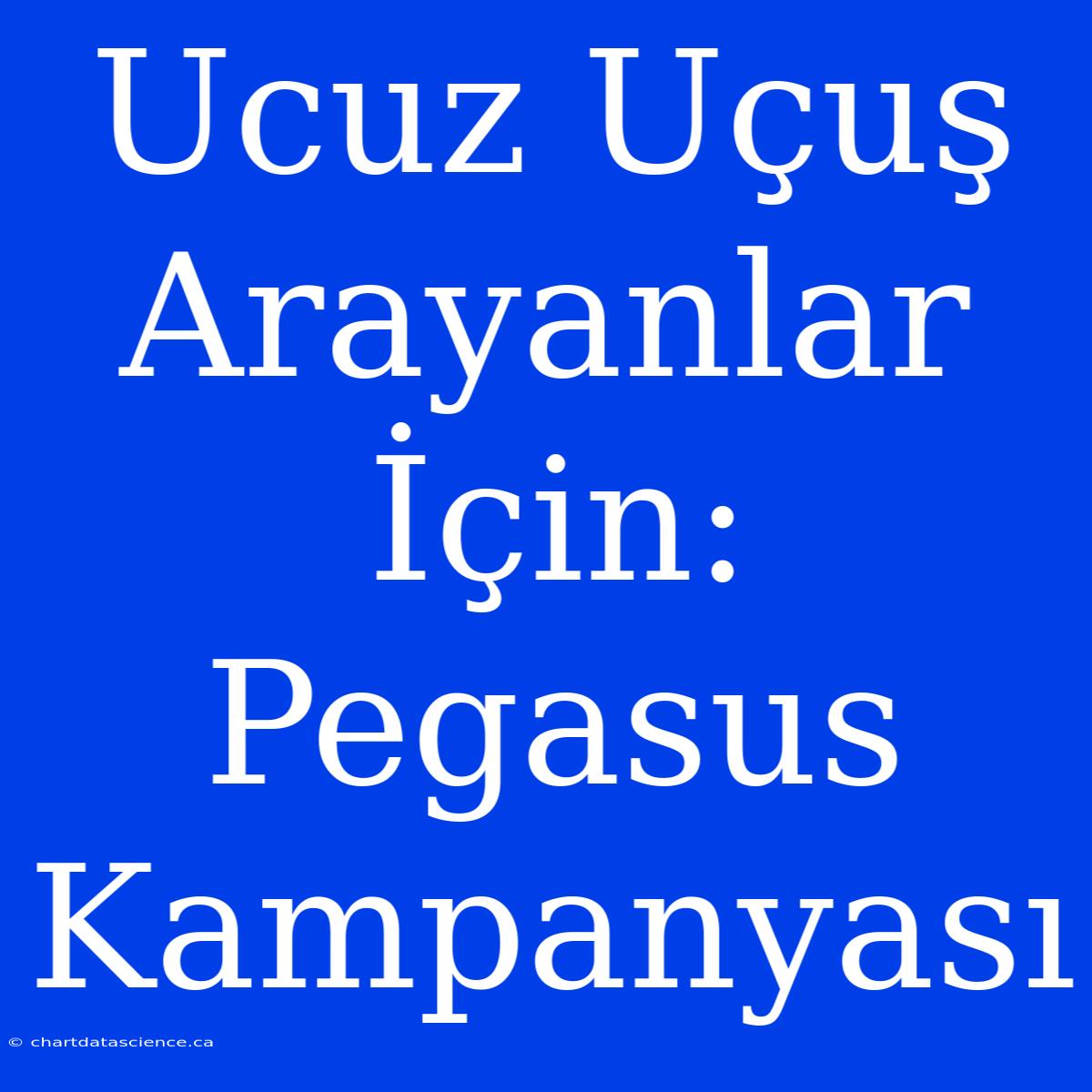 Ucuz Uçuş Arayanlar İçin: Pegasus Kampanyası