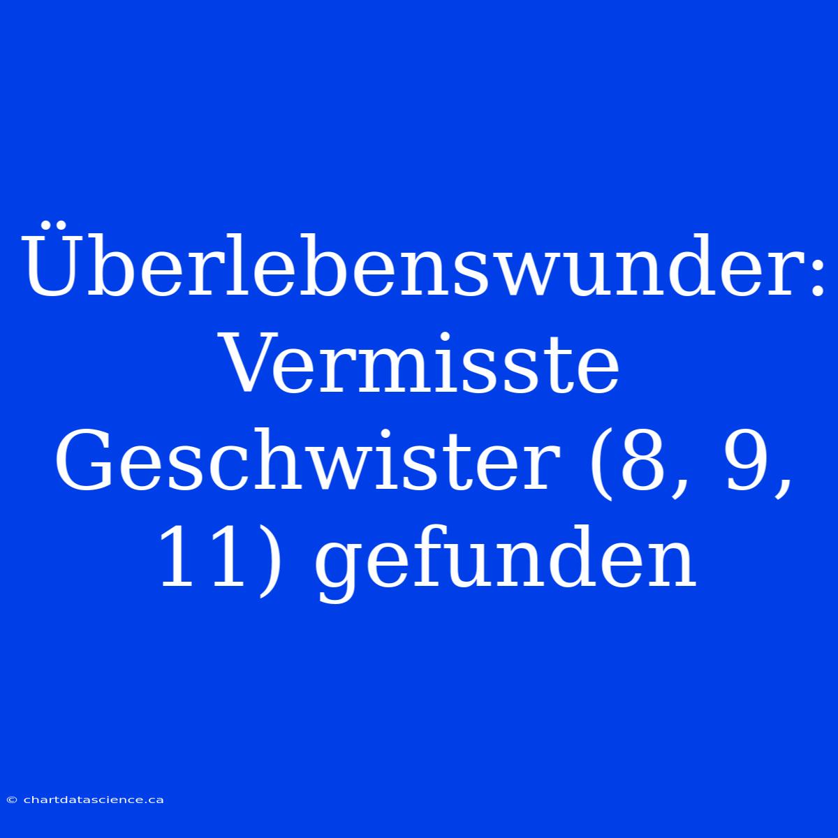 Überlebenswunder: Vermisste Geschwister (8, 9, 11) Gefunden