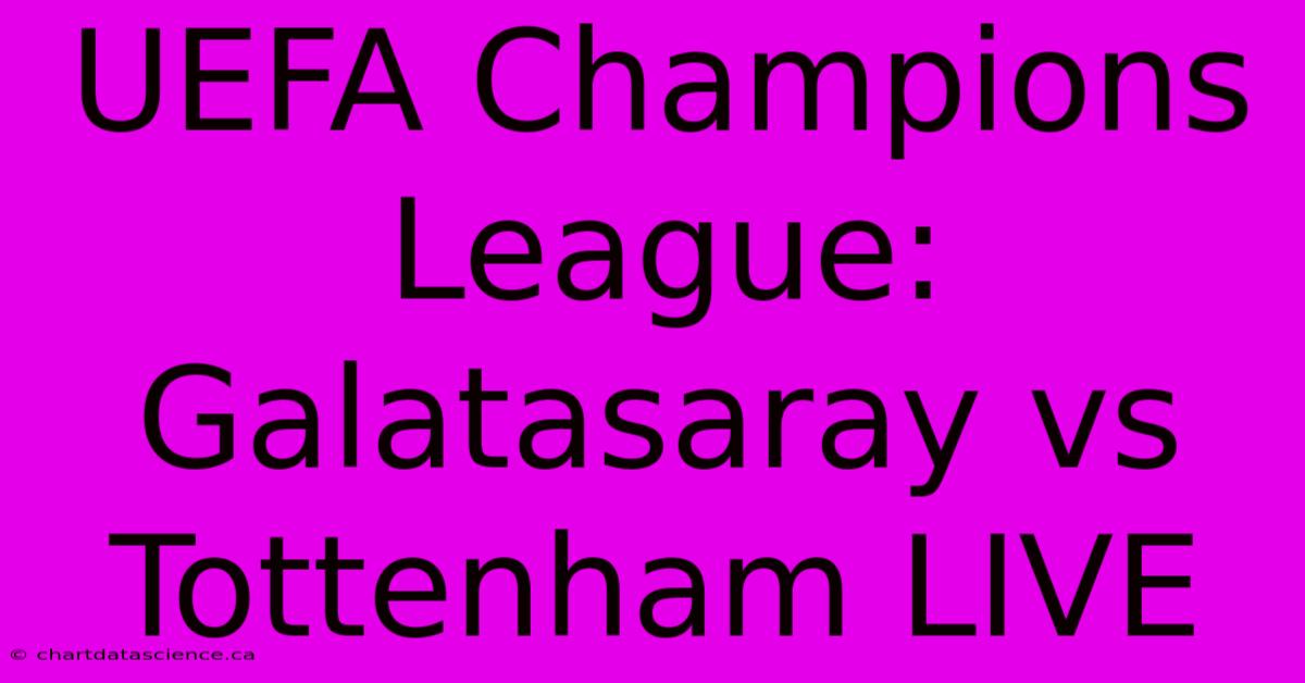 UEFA Champions League: Galatasaray Vs Tottenham LIVE