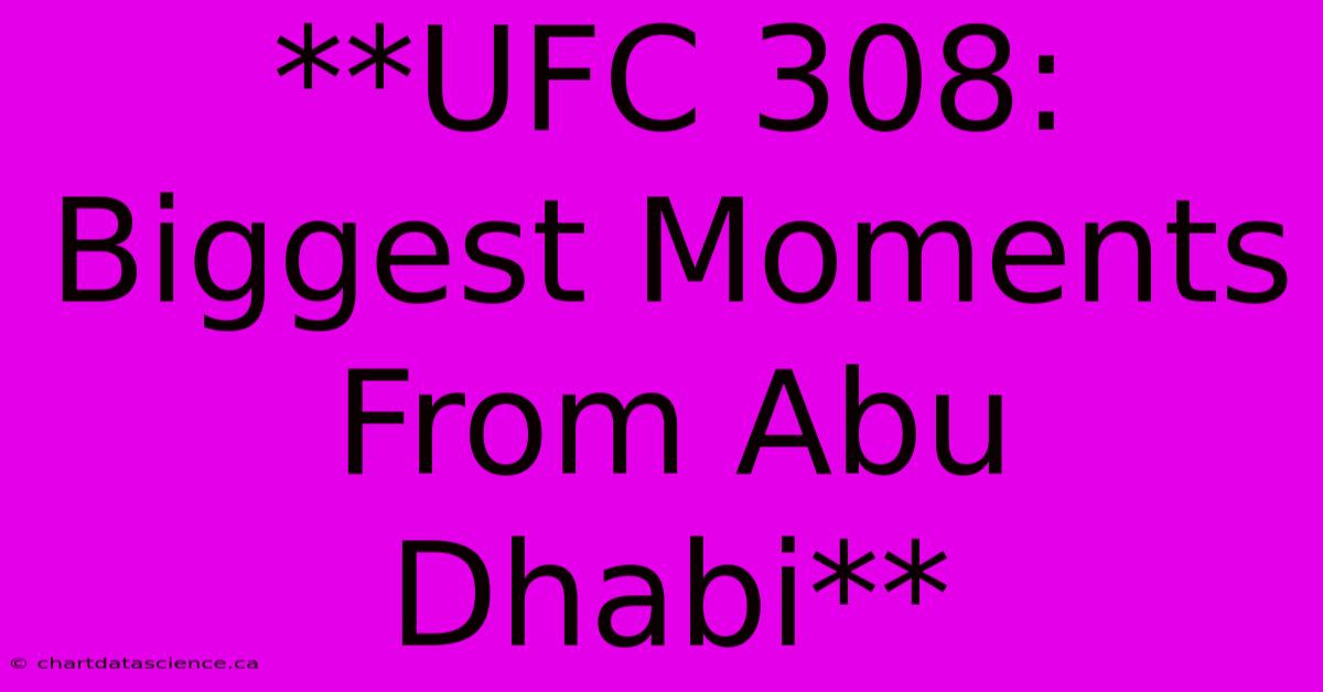 **UFC 308: Biggest Moments From Abu Dhabi**