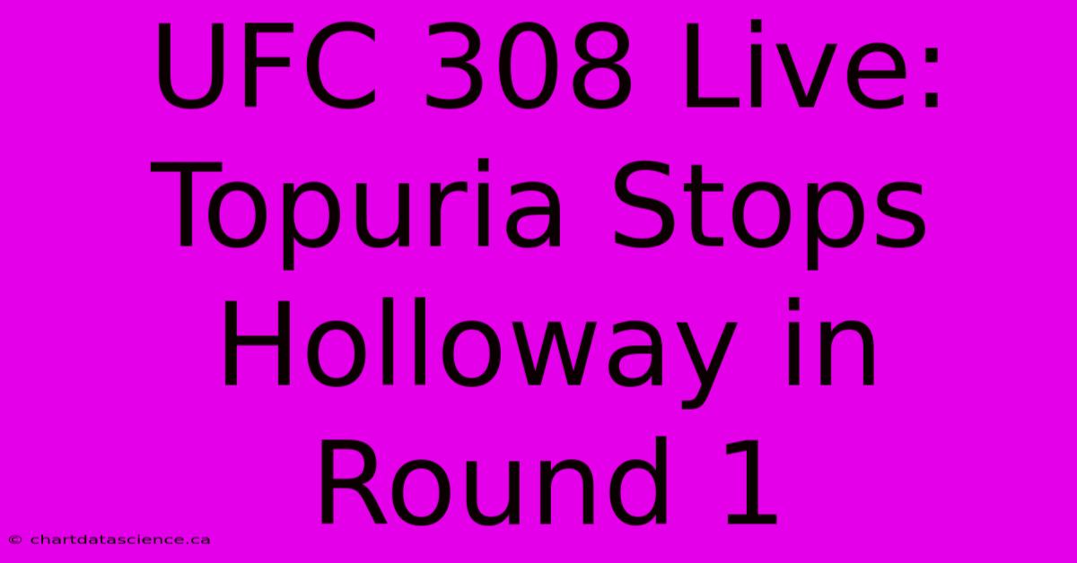 UFC 308 Live: Topuria Stops Holloway In Round 1 