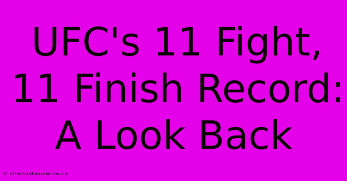 UFC's 11 Fight, 11 Finish Record: A Look Back