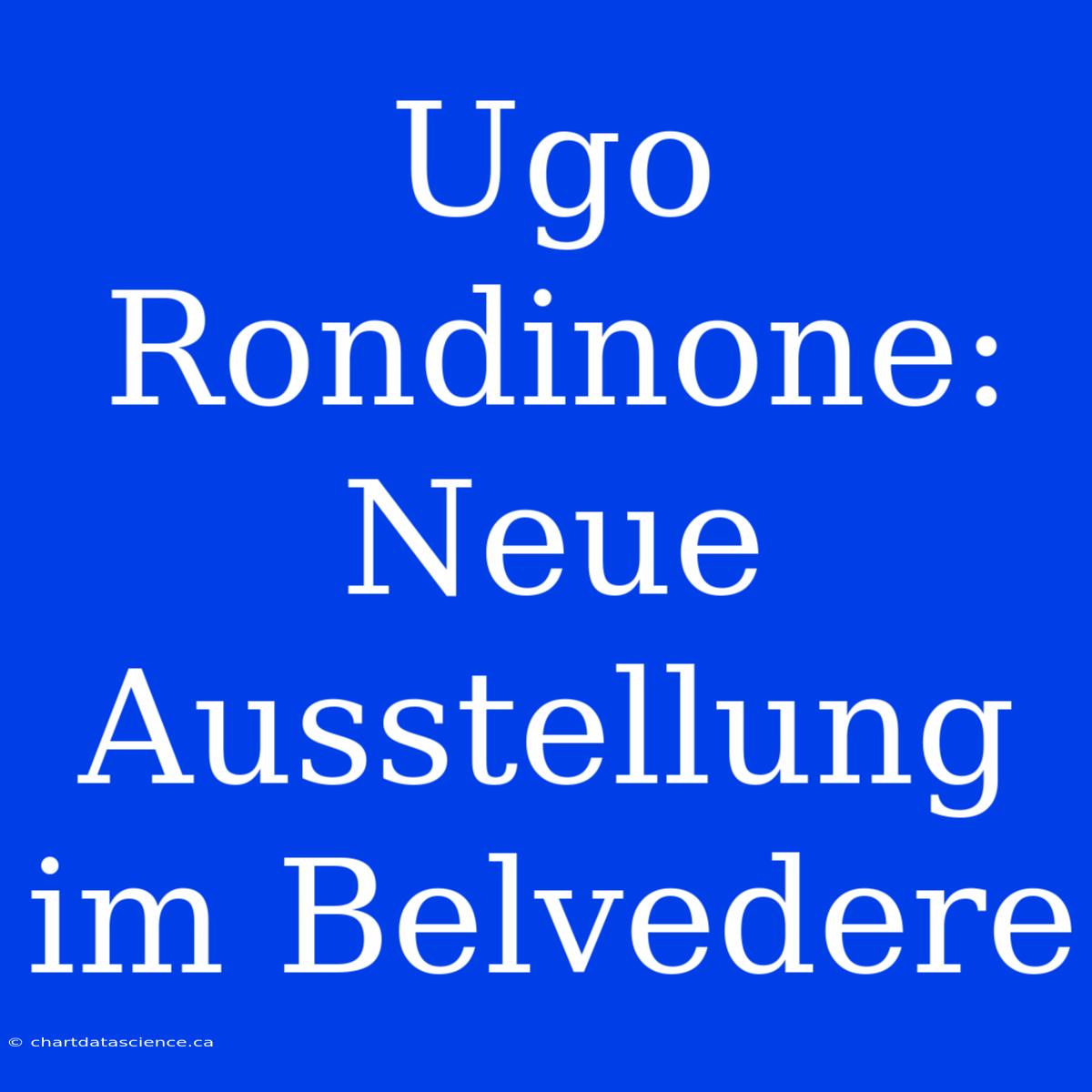 Ugo Rondinone: Neue Ausstellung Im Belvedere