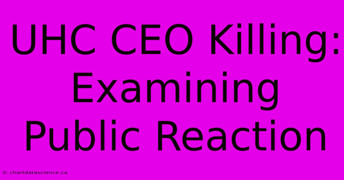 UHC CEO Killing: Examining Public Reaction