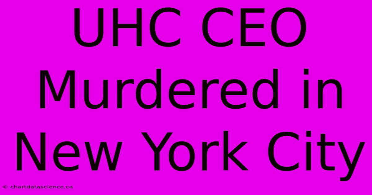 UHC CEO Murdered In New York City