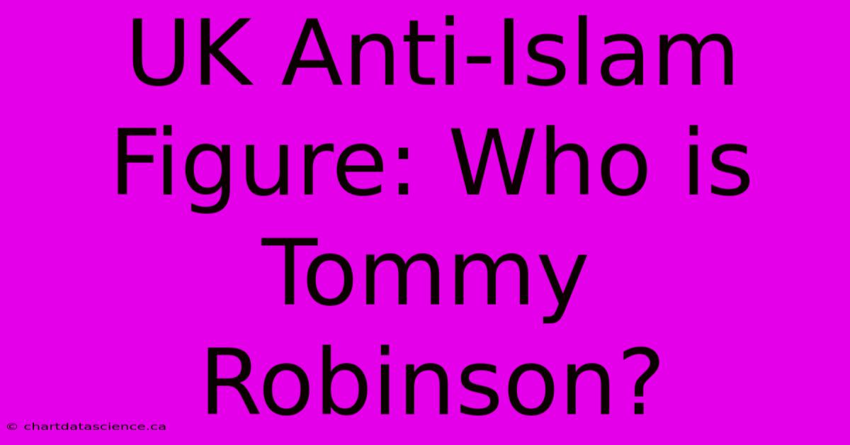 UK Anti-Islam Figure: Who Is Tommy Robinson? 