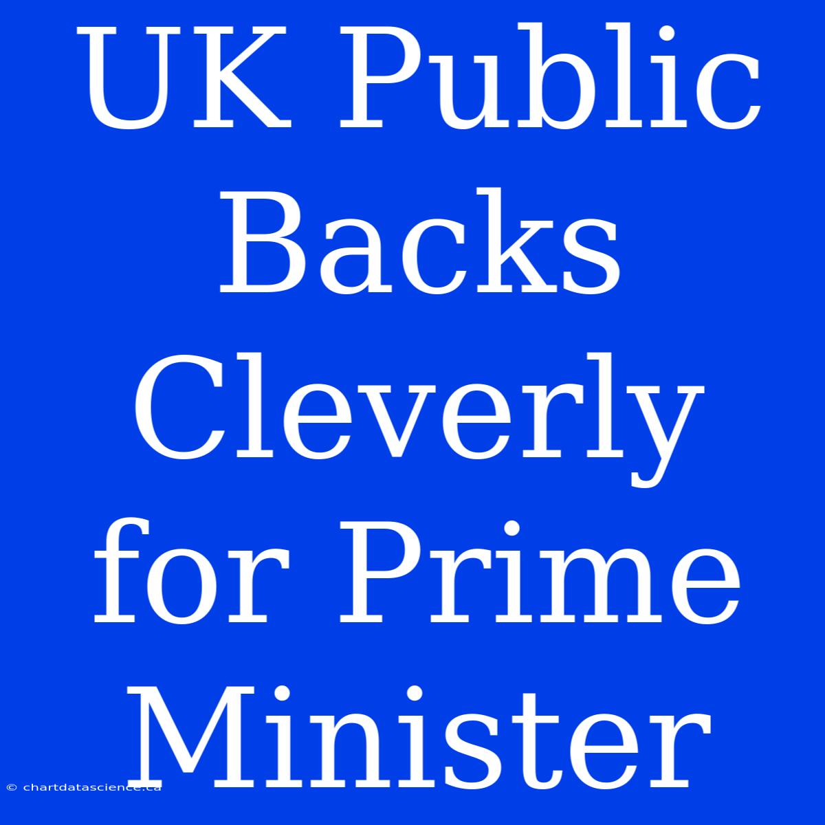 UK Public Backs Cleverly For Prime Minister