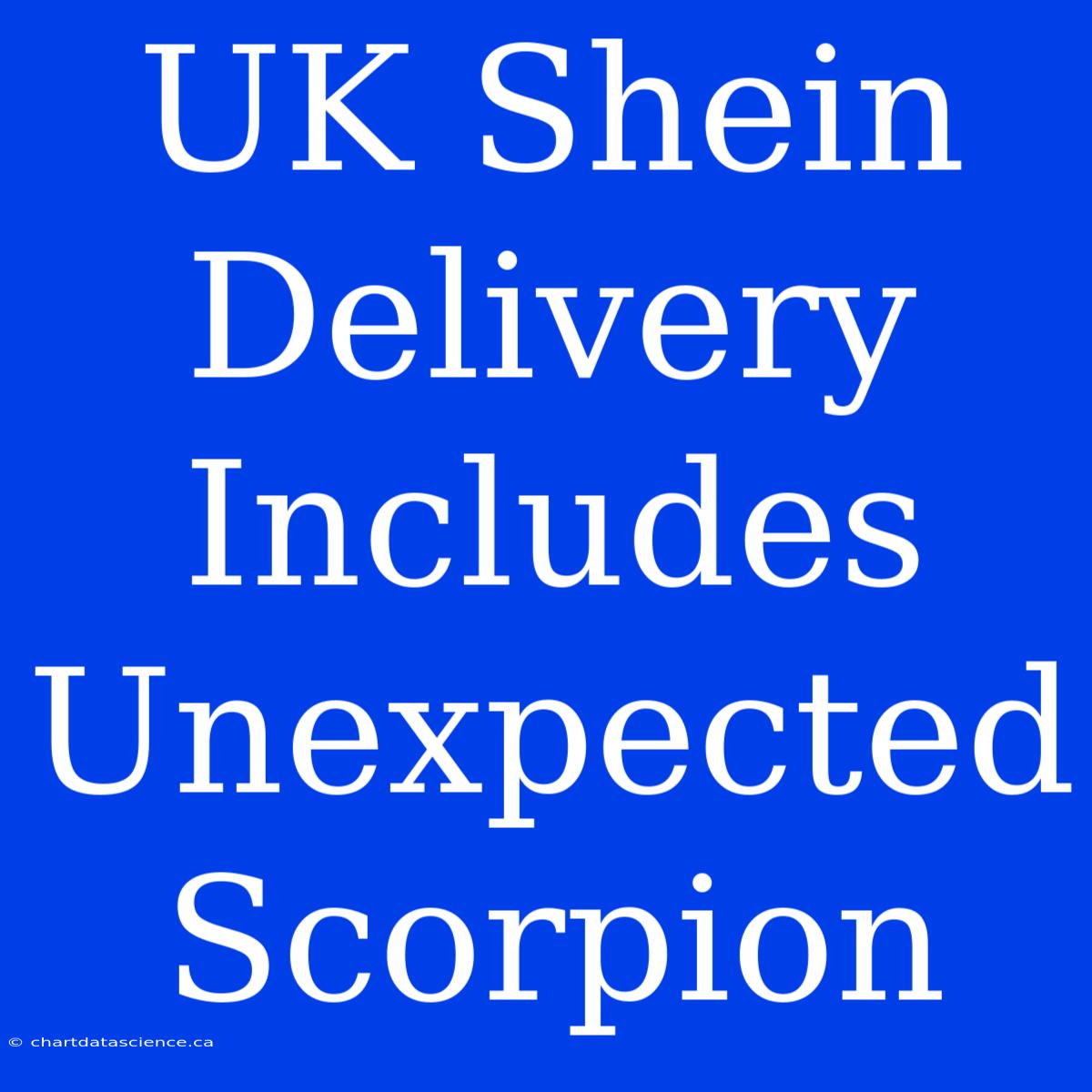 UK Shein Delivery Includes Unexpected Scorpion