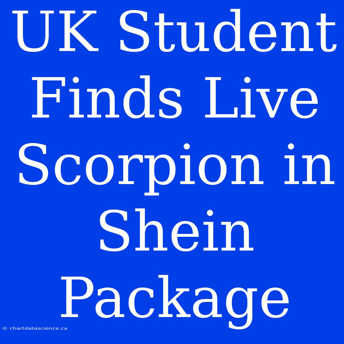 UK Student Finds Live Scorpion In Shein Package