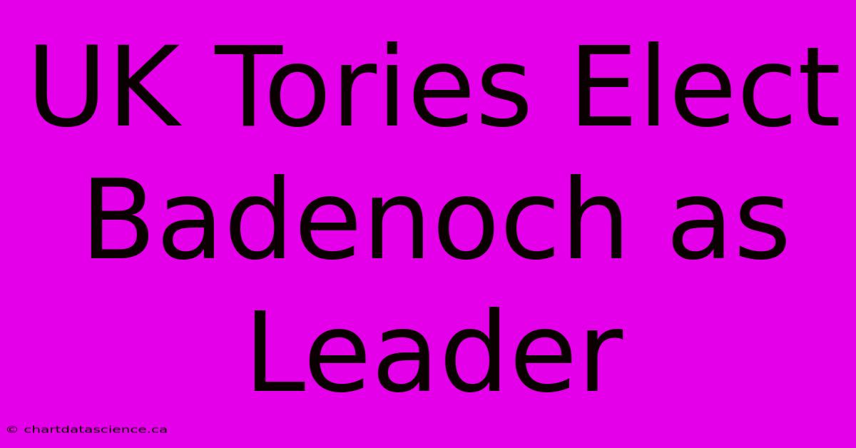 UK Tories Elect Badenoch As Leader