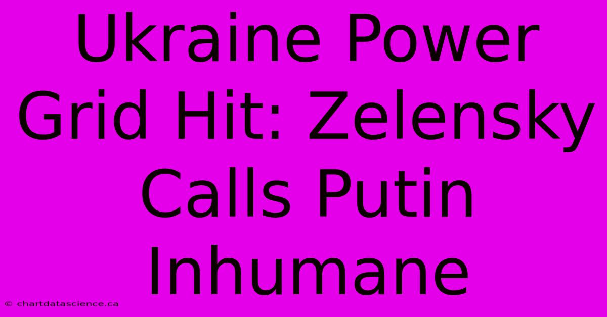 Ukraine Power Grid Hit: Zelensky Calls Putin Inhumane