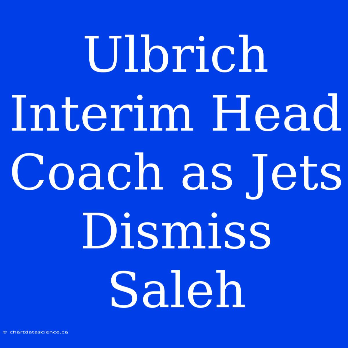 Ulbrich Interim Head Coach As Jets Dismiss Saleh