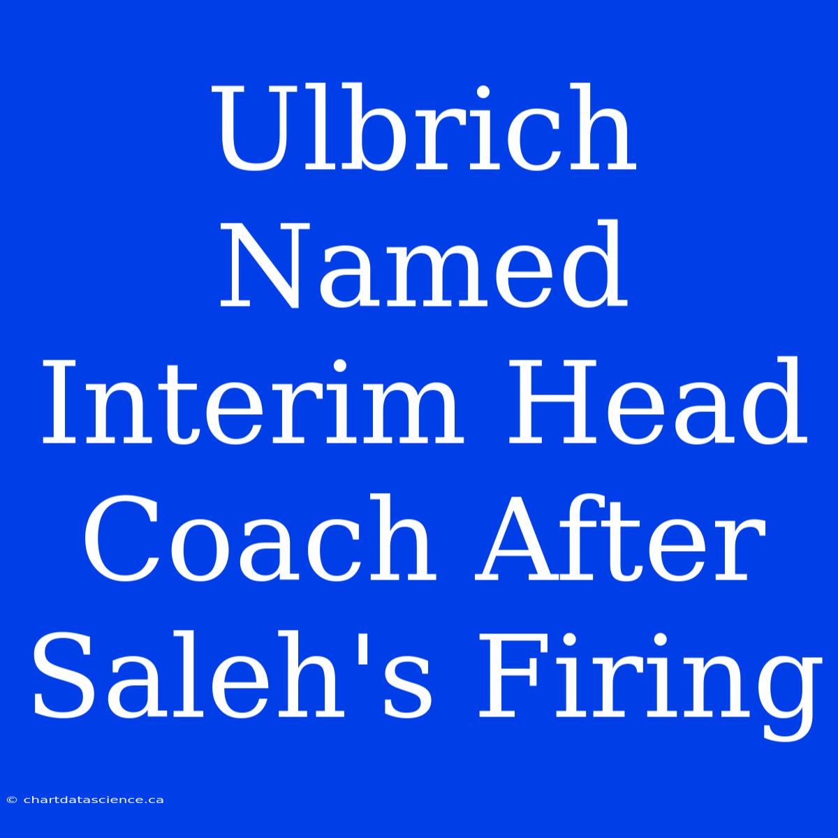 Ulbrich Named Interim Head Coach After Saleh's Firing