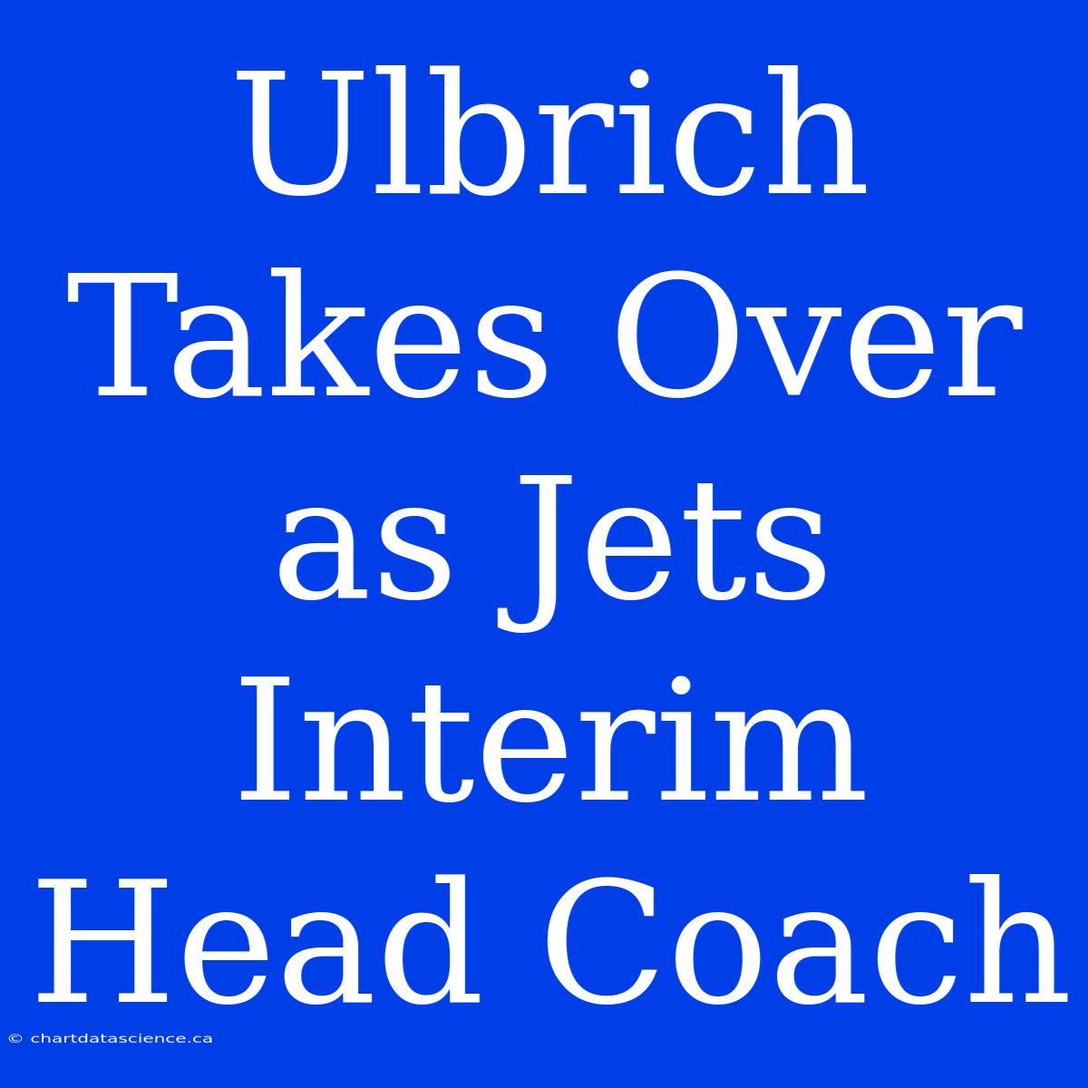 Ulbrich Takes Over As Jets Interim Head Coach