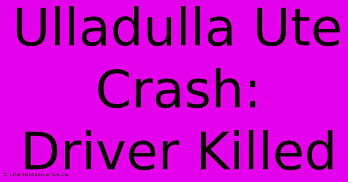 Ulladulla Ute Crash: Driver Killed