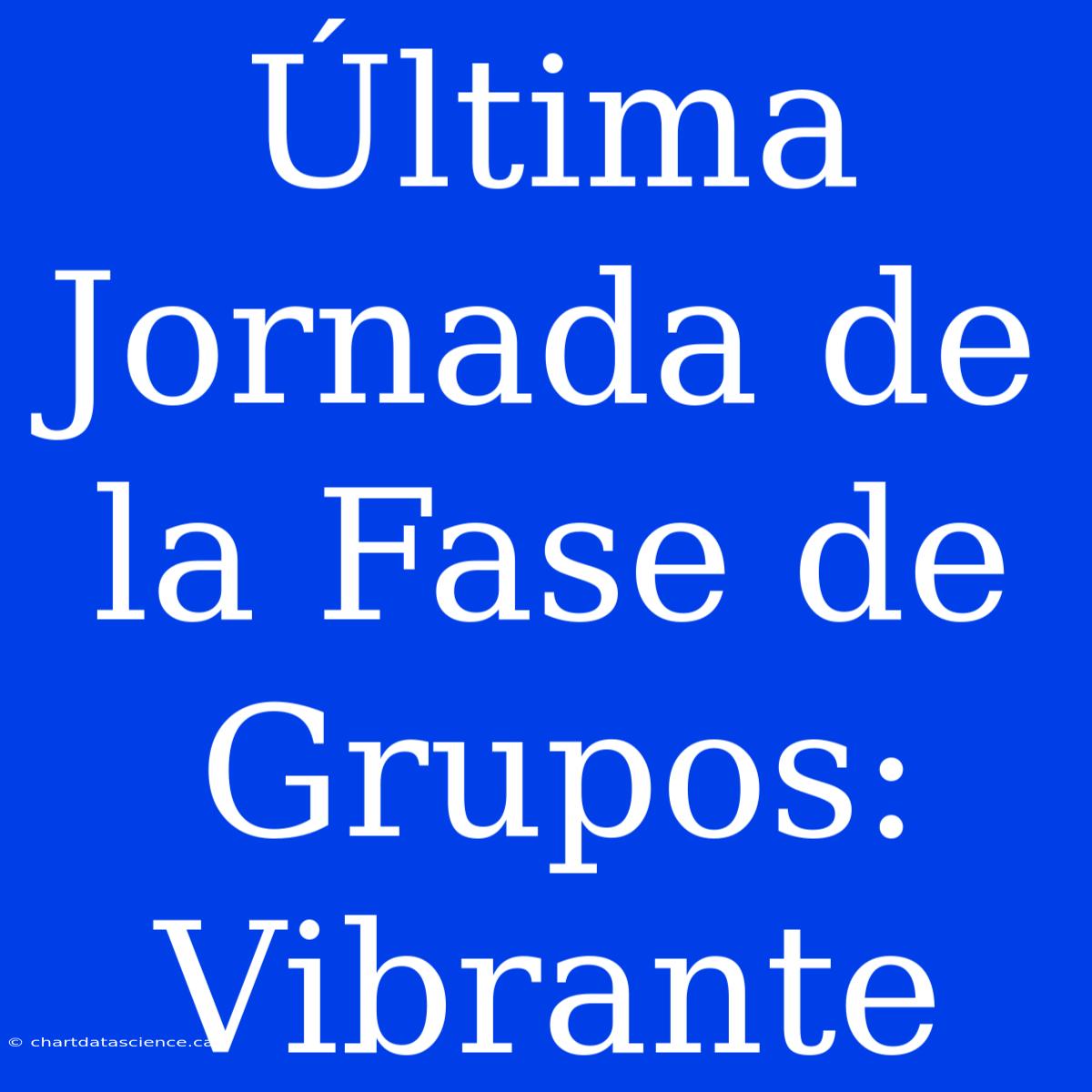 Última Jornada De La Fase De Grupos: Vibrante