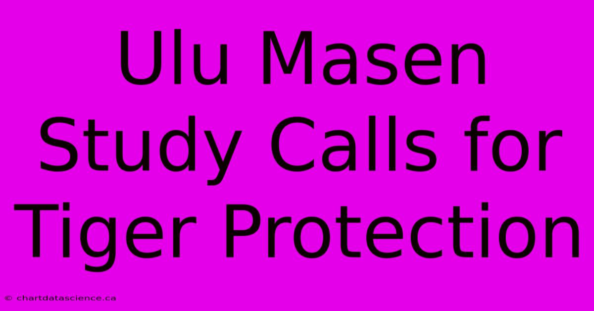 Ulu Masen Study Calls For Tiger Protection 