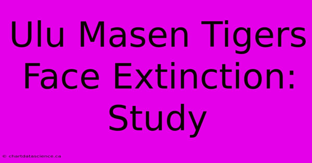 Ulu Masen Tigers Face Extinction: Study