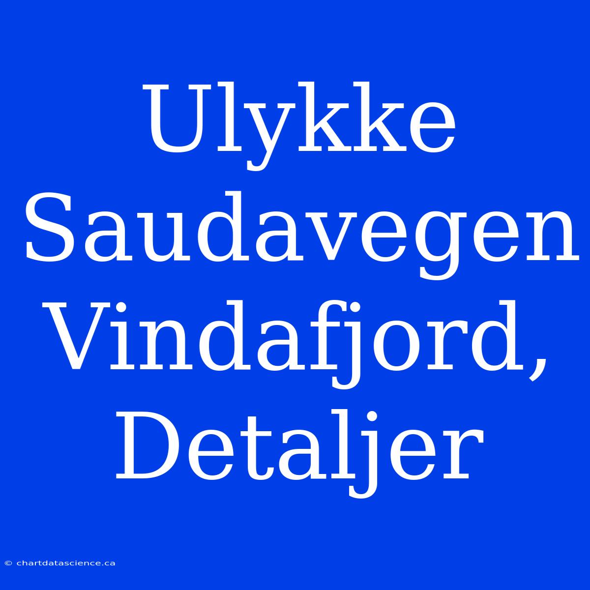 Ulykke Saudavegen Vindafjord, Detaljer