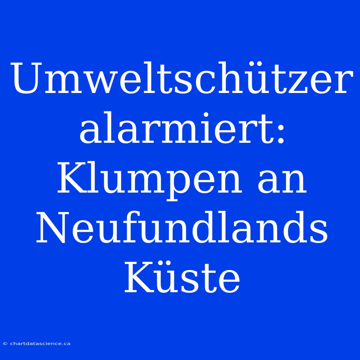 Umweltschützer Alarmiert: Klumpen An Neufundlands Küste