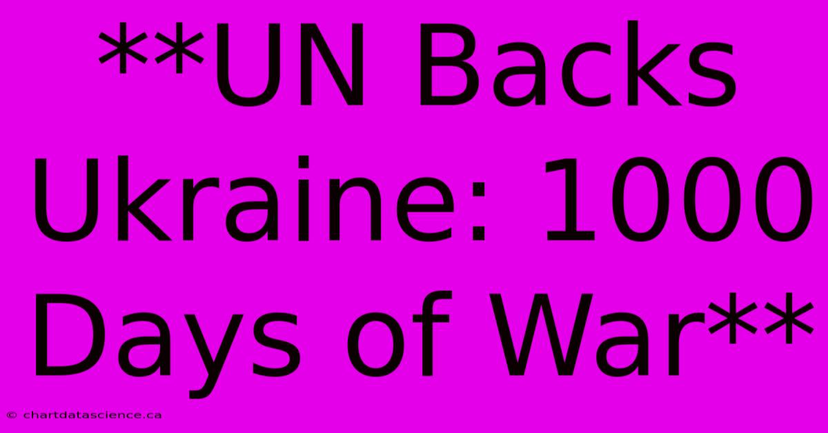 **UN Backs Ukraine: 1000 Days Of War**