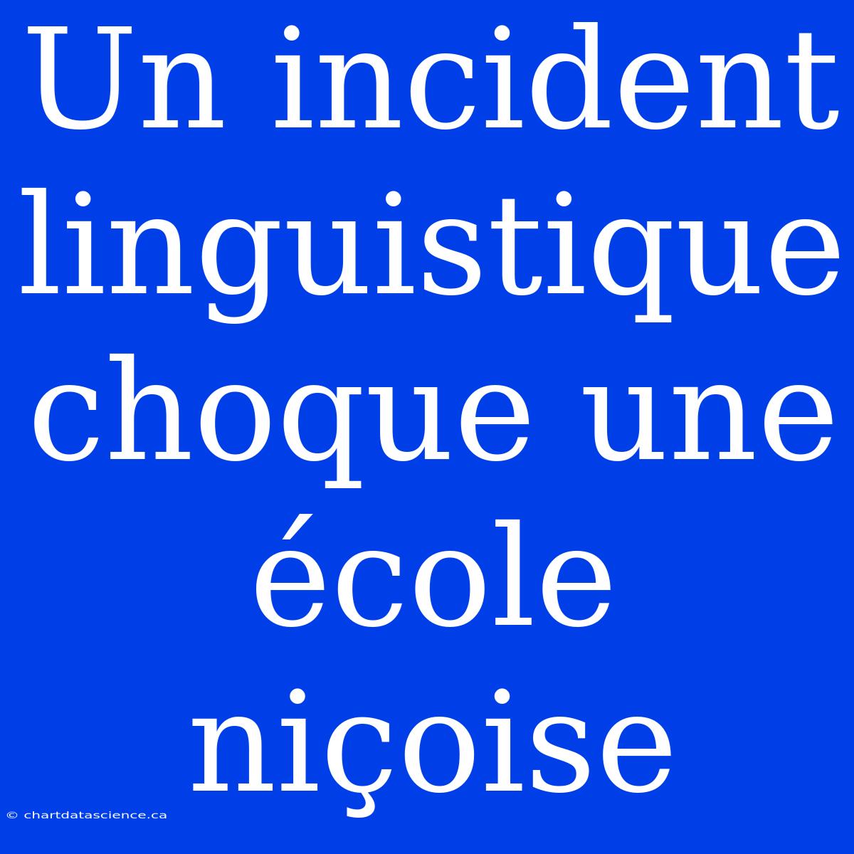 Un Incident Linguistique Choque Une École Niçoise