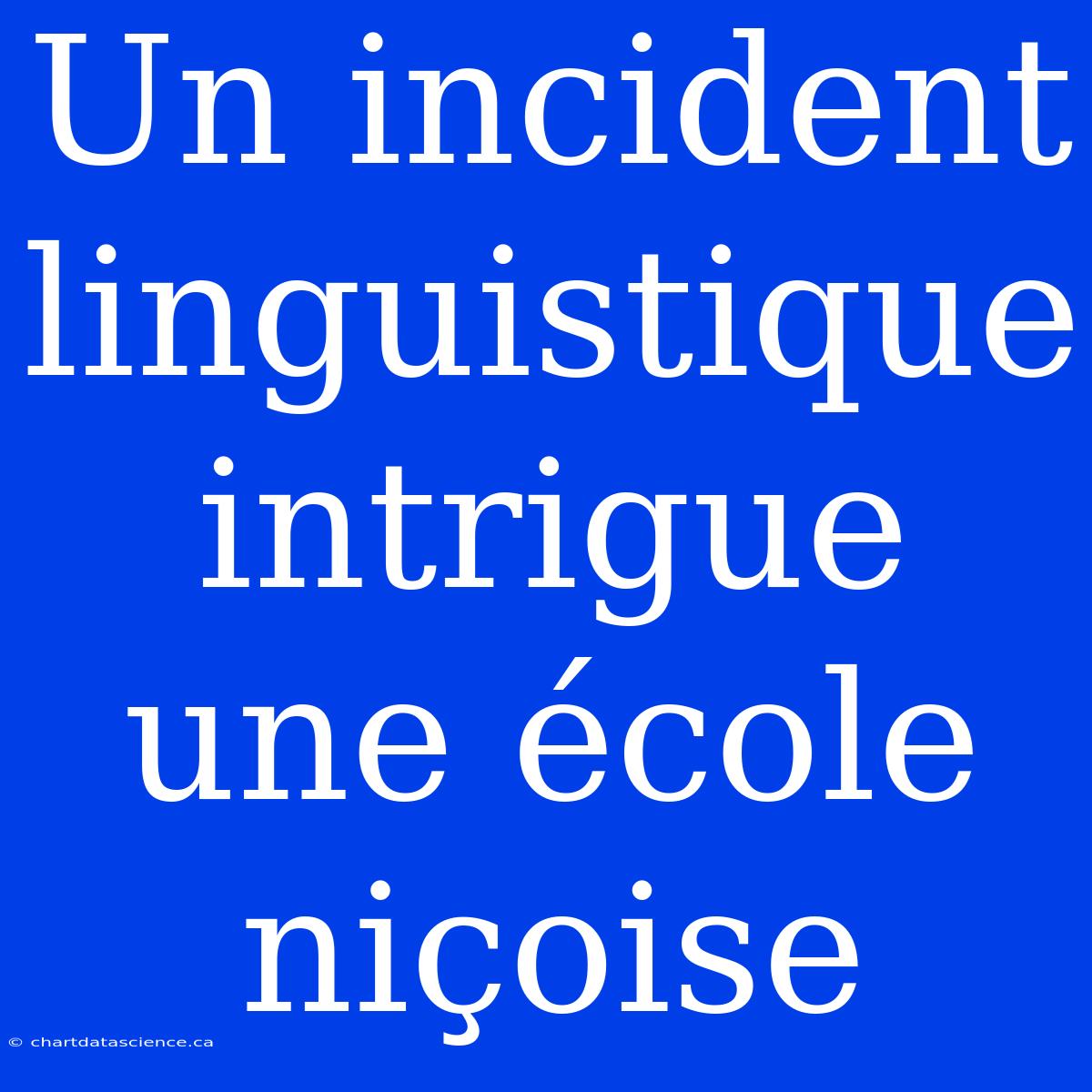 Un Incident Linguistique Intrigue Une École Niçoise