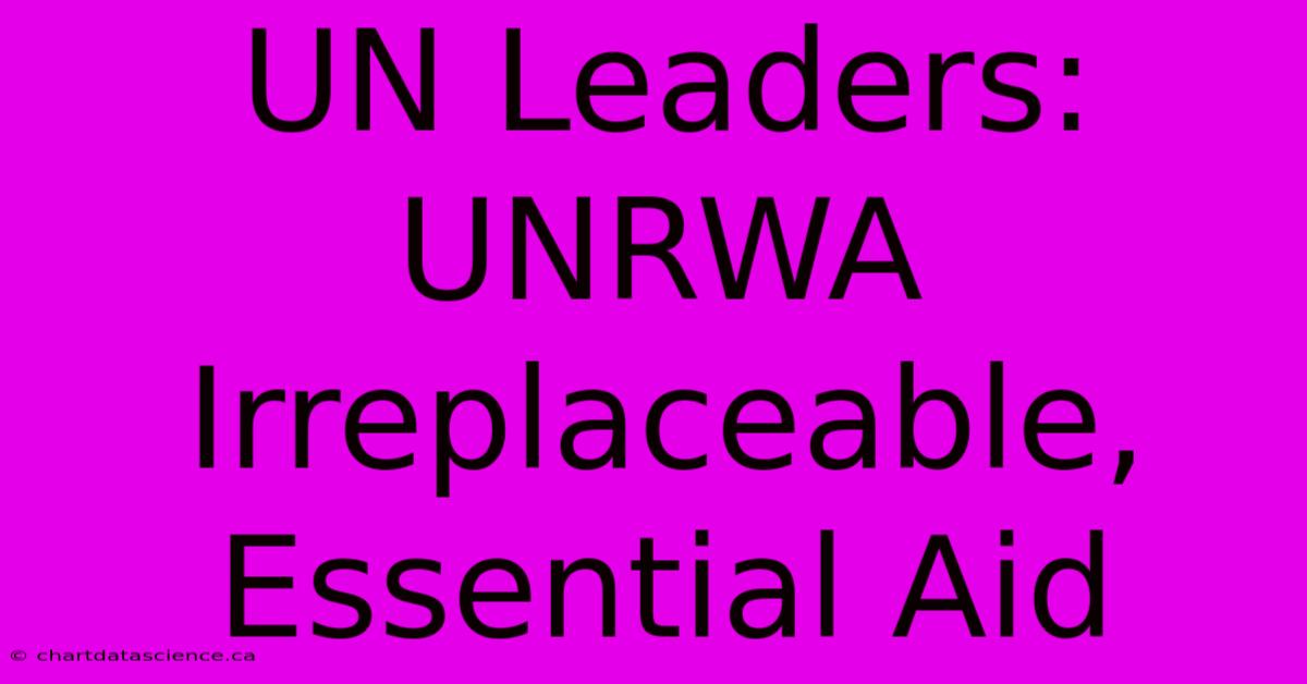 UN Leaders: UNRWA Irreplaceable, Essential Aid