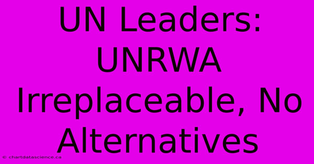 UN Leaders: UNRWA Irreplaceable, No Alternatives