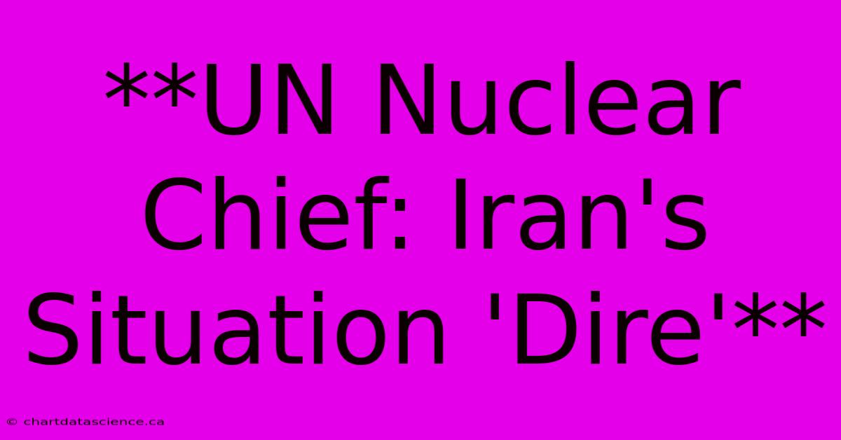 **UN Nuclear Chief: Iran's Situation 'Dire'** 