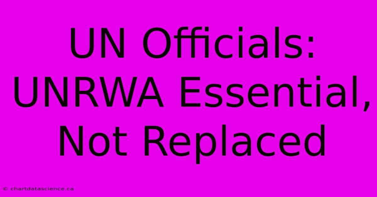 UN Officials: UNRWA Essential, Not Replaced 