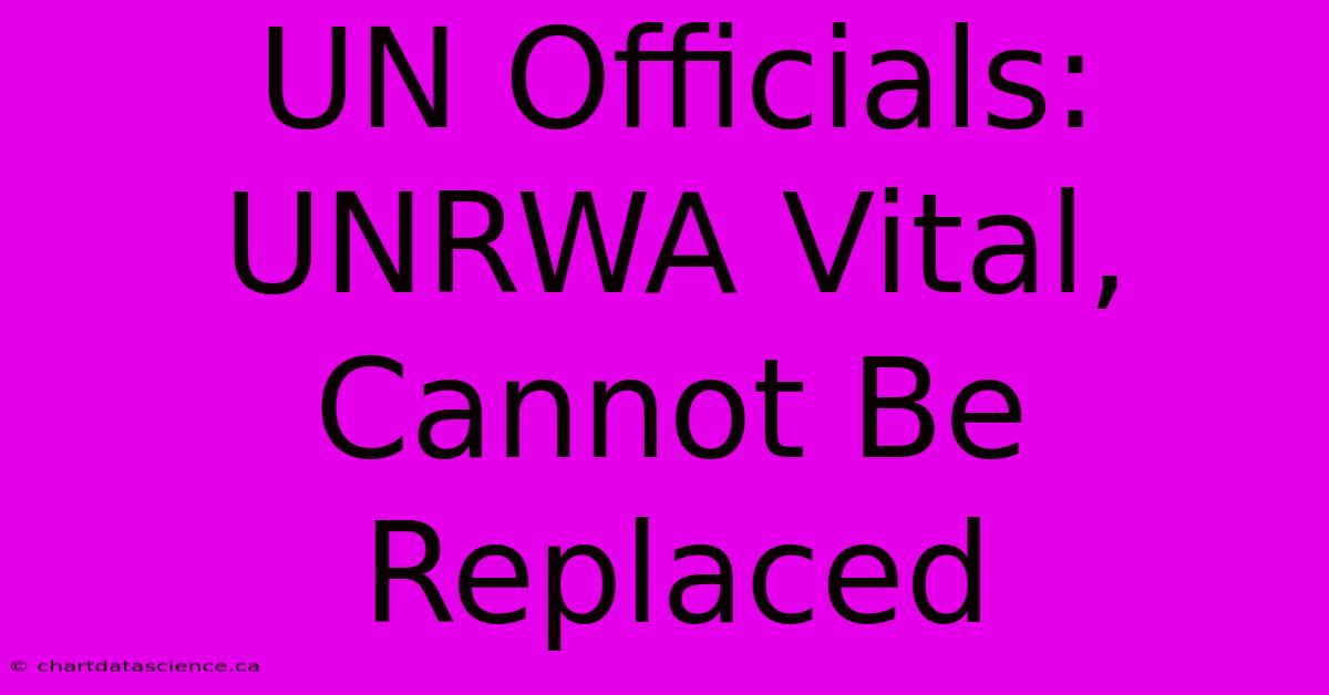 UN Officials: UNRWA Vital, Cannot Be Replaced