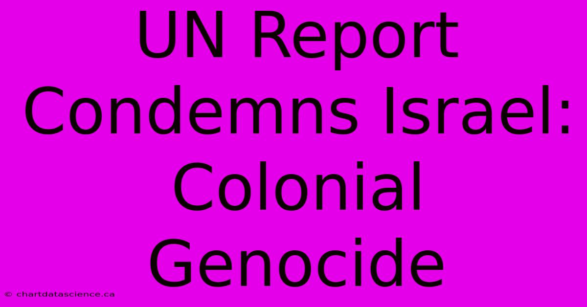 UN Report Condemns Israel: Colonial Genocide