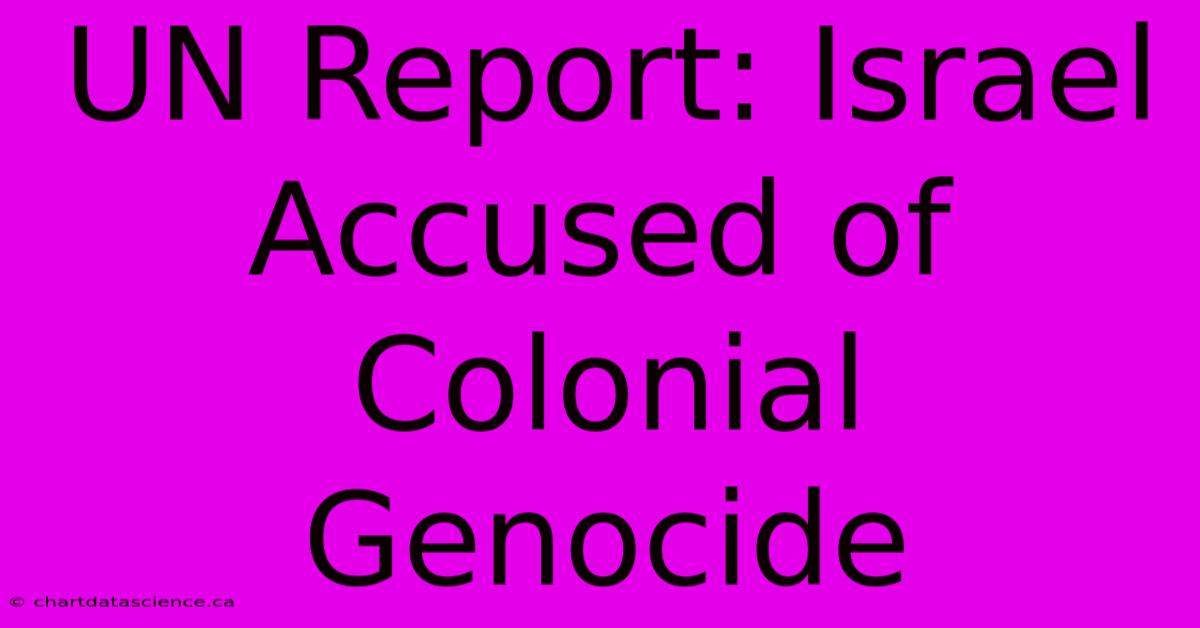 UN Report: Israel Accused Of Colonial Genocide