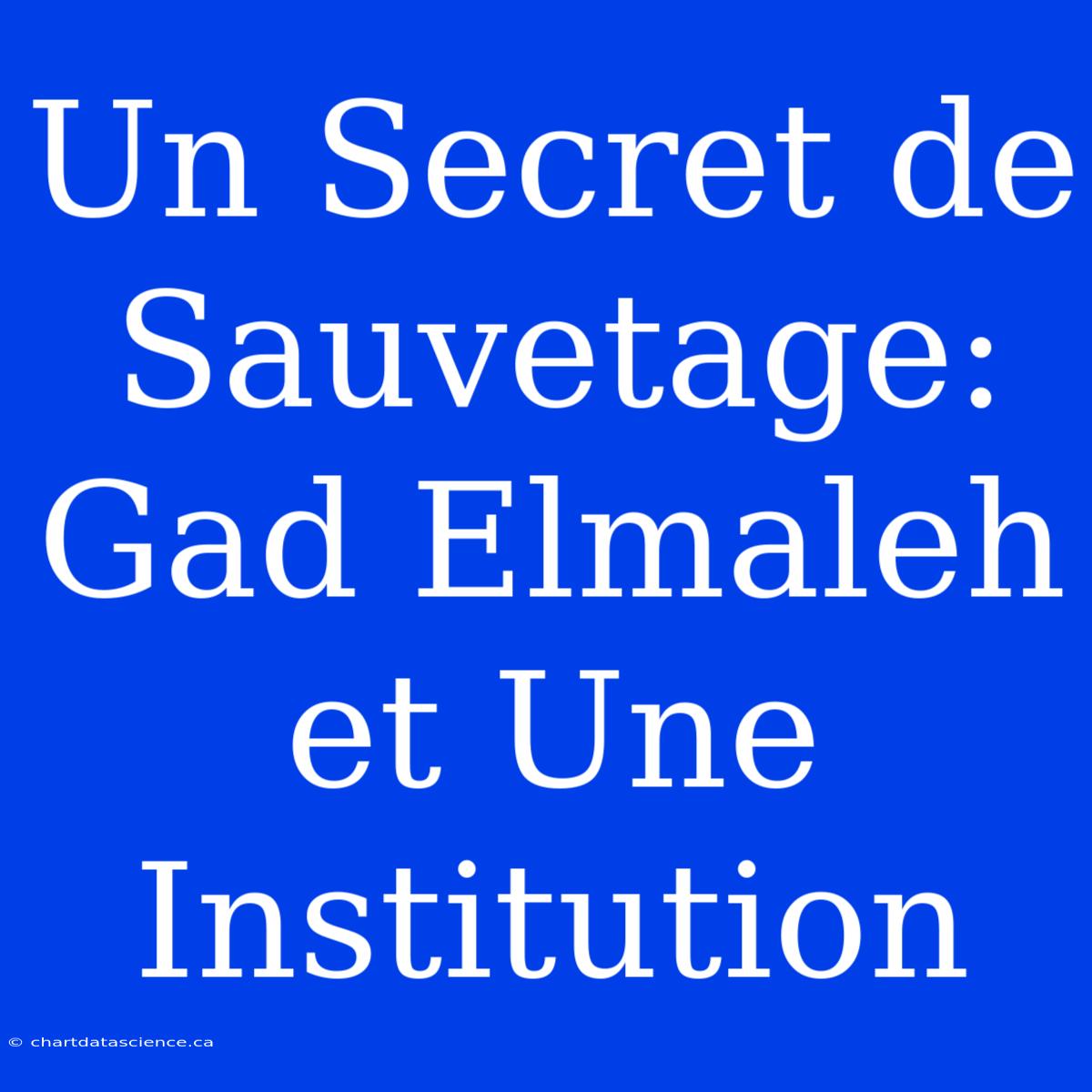 Un Secret De Sauvetage: Gad Elmaleh Et Une Institution