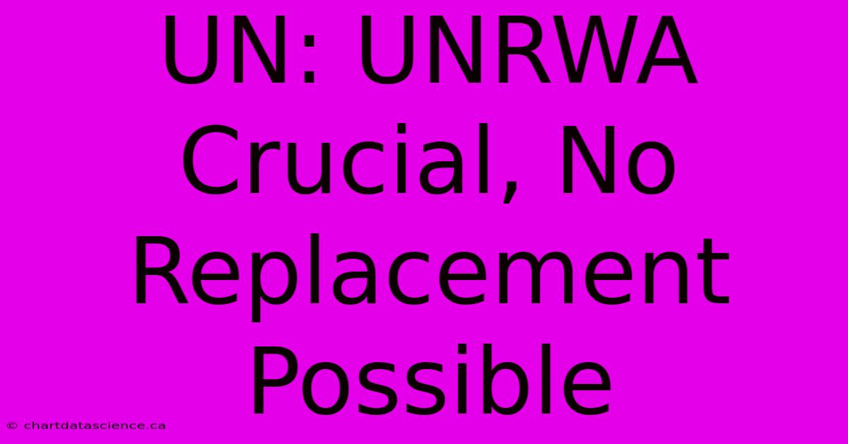 UN: UNRWA Crucial, No Replacement Possible