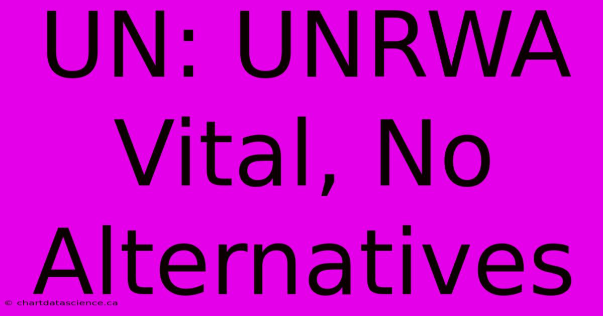 UN: UNRWA Vital, No Alternatives 