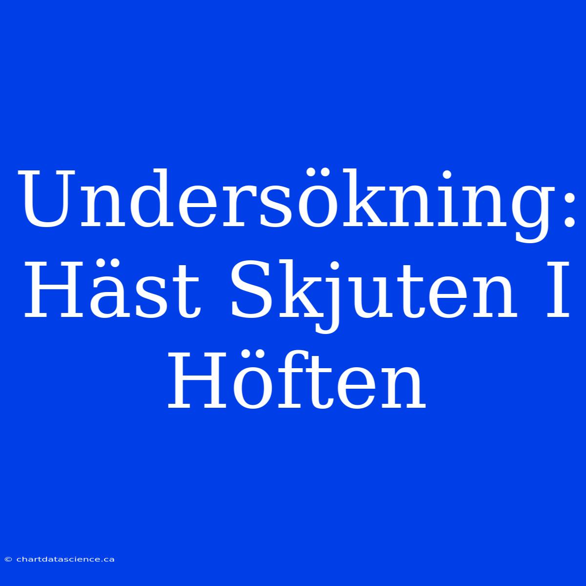 Undersökning: Häst Skjuten I Höften