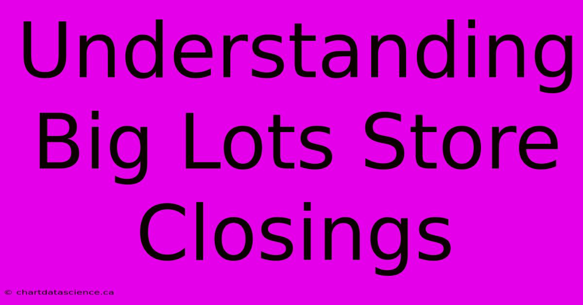 Understanding Big Lots Store Closings